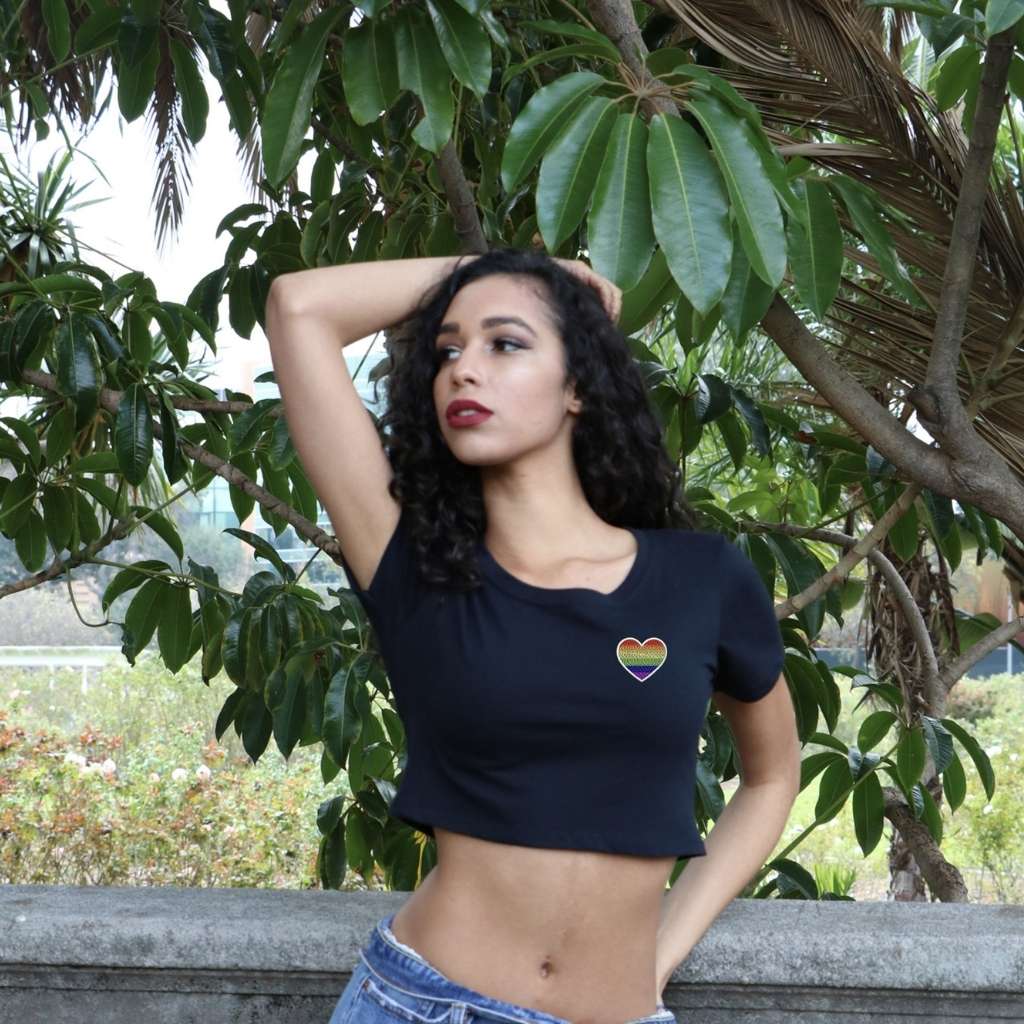 Pride Heart Cropped Tee, Embroidered Cropped T-Shirt, LGBTQ Crop Top Tee, Cropped Tee, Pride T-shirt, Black Crop Top, DSY Lifestyle Crop Tees, Made in LA